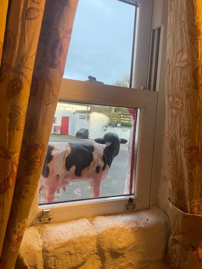 Nellie'S Farmhouse Carlingford Esterno foto
